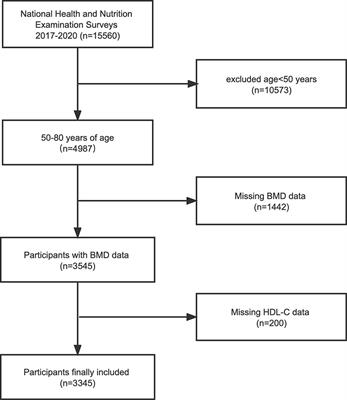 High-density lipoprotein cholesterol levels is negatively associated with intertrochanter bone mineral density in adults aged 50 years and older